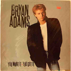Bryan Adams You Want It, You Got It Vinyl LP USED
