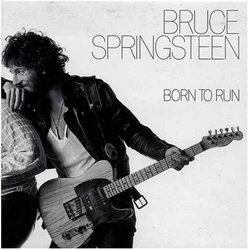 Bruce Springsteen Born To Run Vinyl LP USED