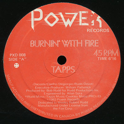 Tapps Burnin' With Fire / My Forbidden Lover (Remix) Vinyl 12" USED