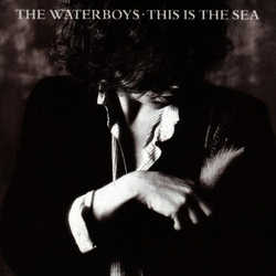 The Waterboys This Is The Sea Vinyl LP USED