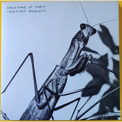 Courtney Barnett Creature Of Habit Vinyl LP USED