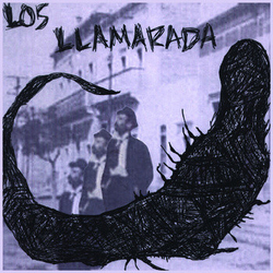 Los Llamarada Against The Day Vinyl 7" USED