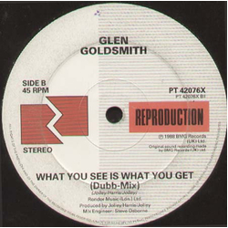 Glen Goldsmith What You See Is What You Get (Remix) Vinyl 12" USED