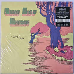 Skinshape Another Side Of Skinshape Vinyl LP USED