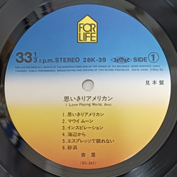 Anri (2) 思いきりアメリカン I Love Poping World, Anri Vinyl LP USED