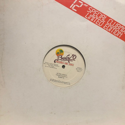 Baby'O In The Forest Vinyl 12" USED