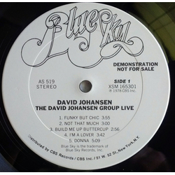 David Johansen Group The David Johansen Group Live Vinyl LP USED