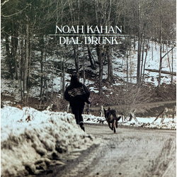 Noah Kahan Dial Drunk Vinyl 7" USED