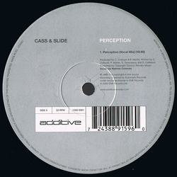 Cass & Slide Perception Vinyl 12" USED