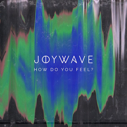 Joywave How Do You Feel? Vinyl 12" USED