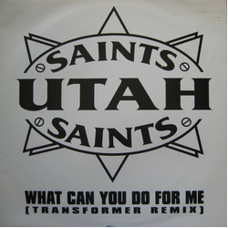 Utah Saints What Can You Do For Me (Transformer Remix) Vinyl 12" USED