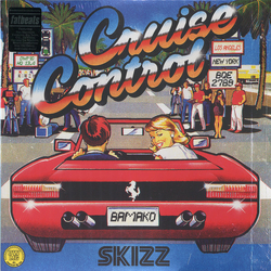 DJ Skizz Cruise Control Vinyl LP USED