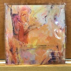 Haruka Nakamura Eternal View Vinyl 7" USED