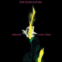 The Flesh Eaters Forever Came Today Vinyl LP USED