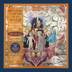 Woo (3) Whichever Way You Are Going, You Are Going Wrong Multi Vinyl LP/Vinyl 12" USED
