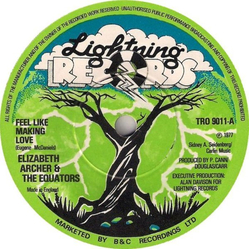 Elizabeth Archer / The Equators Feel Like Making Love Vinyl 7" USED