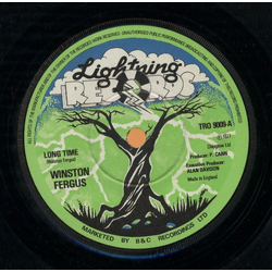 Winston Fergus Long Time Vinyl 7" USED