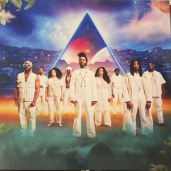 Steam Down Five Fruit Vinyl 12" USED