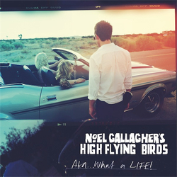 Noel Gallagher's High Flying Birds AKA... What A Life! Vinyl 7" USED