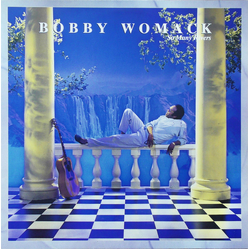 Bobby Womack So Many Rivers Vinyl LP USED