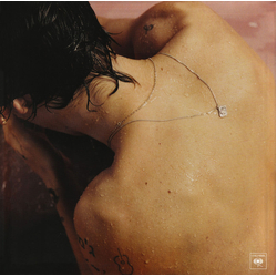 Harry Styles Harry Styles Vinyl LP USED