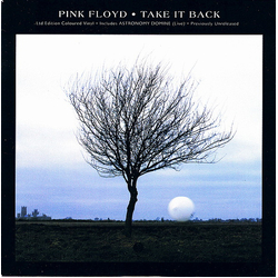 Pink Floyd Take It Back Vinyl 7" USED