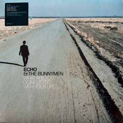 Echo & The Bunnymen What Are You Going To Do With Your Life? Vinyl LP USED
