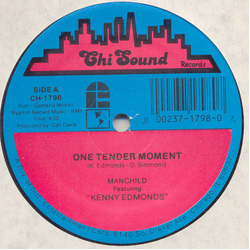 Manchild (9) / Kenneth Edmonds One Tender Moment Vinyl 12" USED