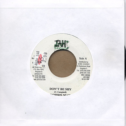 Norrisman Don't Be Shy Vinyl 7" USED