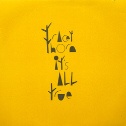 Tracey Thorn It's All True Vinyl 12" USED