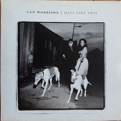 Van Morrison Days Like This Vinyl LP USED
