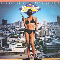 David Bromberg Band Bandit In A Bathing Suit Vinyl LP USED