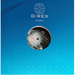 Gregor Salto / DJ Madskillz Embryo Vinyl 12" USED
