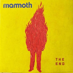 Mammoth WVH The End Vinyl LP USED
