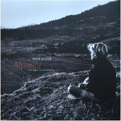 David Sylvian Alchemy An Index Of Possibilities Vinyl LP USED