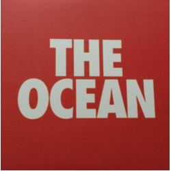 Manchester Orchestra The Ocean Vinyl 7" USED