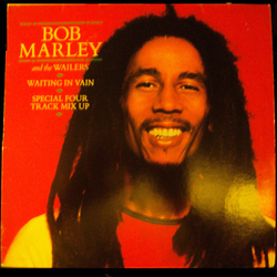 Bob Marley & The Wailers Waiting In Vain Vinyl 12" USED