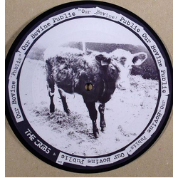 The Cribs Our Bovine Public / Don't You Wanna Be Relevant? Vinyl 7" USED