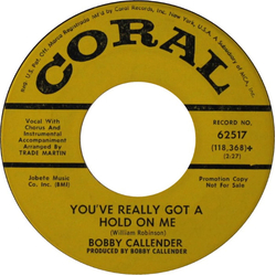 Bobby Callender You've Really Got A Hold On Me Vinyl 7" USED