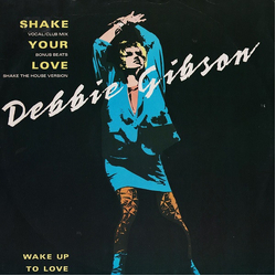 Debbie Gibson Shake Your Love Vinyl 12" USED