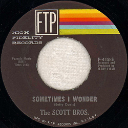 The Scott Brothers Sometimes I Wonder / On Again, Off Again Love Vinyl 7" USED