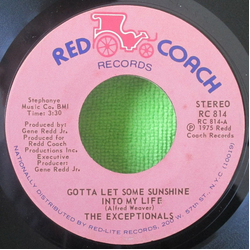 The Exceptionals (2) Gotta Let Some Sunshine Into My Life Vinyl 7" USED