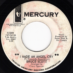 Bruce Scott I Made An Angel Cry Vinyl 7" USED