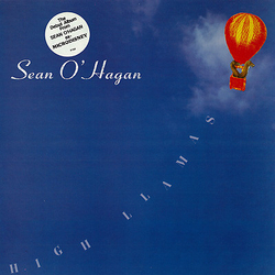 Sean O'Hagan High Llamas Vinyl LP USED