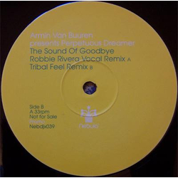 Armin Van Buuren / Perpetuous Dreamer The Sound Of Goodbye Vinyl 12" USED