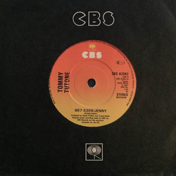 Tommy Tutone 867-5309/Jenny Vinyl 7" USED