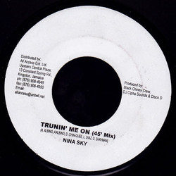 Nina Sky / Baby Cham Turnin' Me On Vinyl 7" USED
