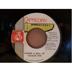 Vicious Irie Things A Boil Up Vinyl 7" USED