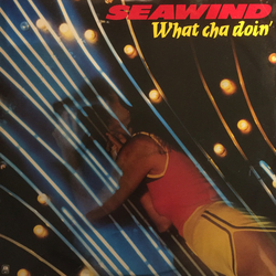 Seawind What Cha Doin' Vinyl 12" USED