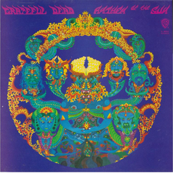 The Grateful Dead Anthem Of The Sun Vinyl LP USED